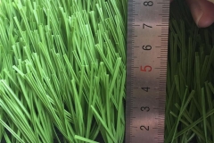 artificial-grass-football-pitch44230896295