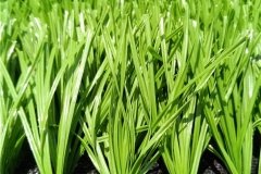 artificial-grass-football-pitch44232302523
