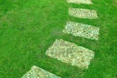 12027986-the-stone-block-walk-path-in-the-park-with-green-grass-background