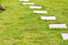 15478816-stone-block-walk-path-in-the-park-with-green-grass-background