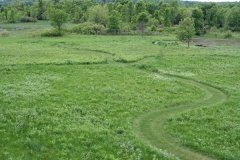 prairie-growth