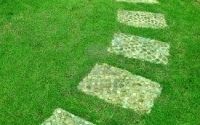 thumbs_12027986-the-stone-block-walk-path-in-the-park-with-green-grass-background